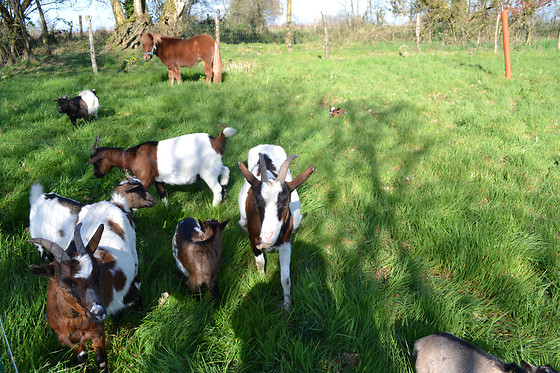 Domaine des Vaulx - photo 9