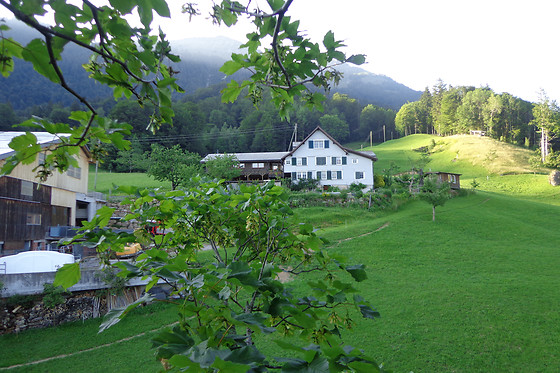 Bauernhof Brändliberg - photo 0