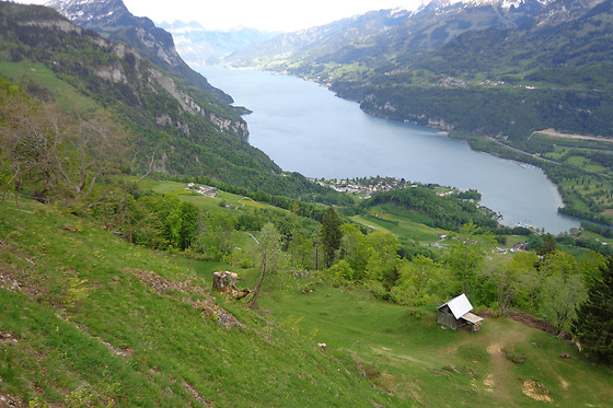 Bauernhof Brändliberg - photo 1