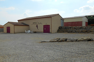 Visite et dégustation de vin au Domaine les Maillols à Villegly (11)