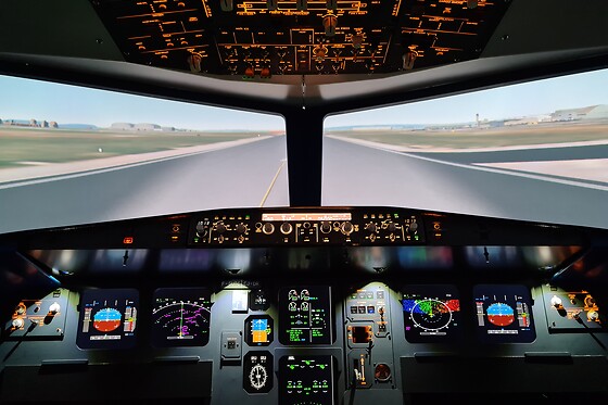 Zim Air Simulation - photo 1