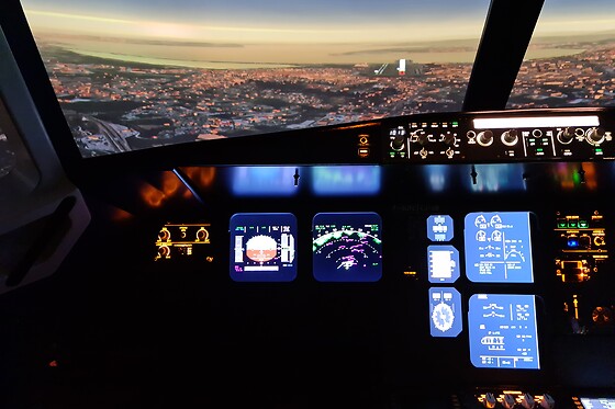 Zim Air Simulation - photo 2