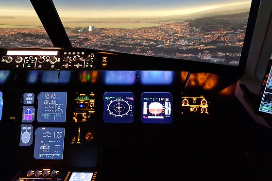 Zim Air Simulation - photo 3