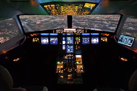 Zim Air Simulation - photo 6