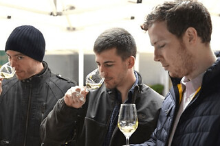 Dégustation de Chablis au domaine Clotilde Davenne à Auxerre