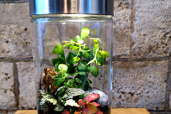 Atelier Terrarium 