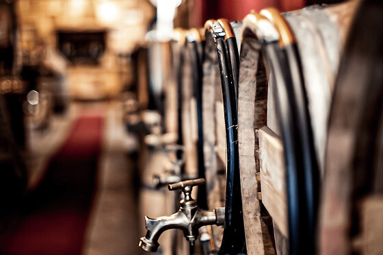 Initiation à la dégustation des vins de Bordeaux (33)