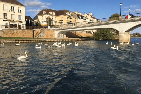 Permis Rivière à Lagny-sur-Marne (77) - Rivière - Week-end
