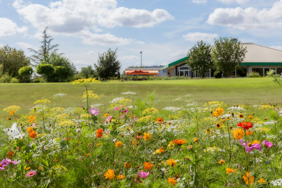 Cours de golf - Ugolf - Metz (57)
