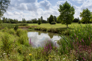 Cours de golf - Ugolf - Metz (57)