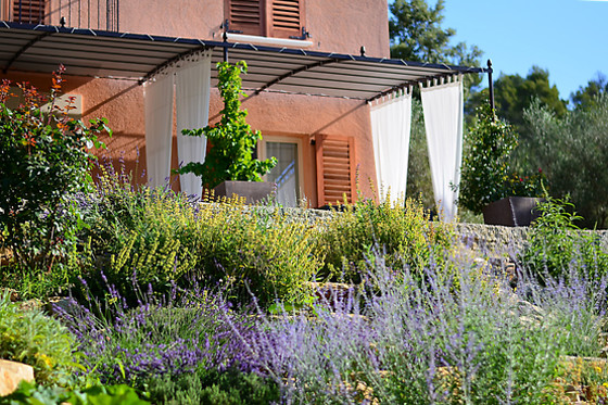 Lavandaline - photo 4
