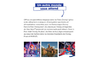 Carte Disneyland® Paris Mickey
