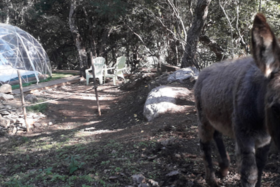 La Ferme Aventure 66 - photo 3
