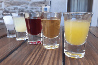 Atelier dégustation de rhum réunionnais à Saint-Jacut du Mené