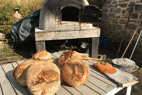 Atelier pain et pizza à la ferme à Bulat-Pestivien (22)