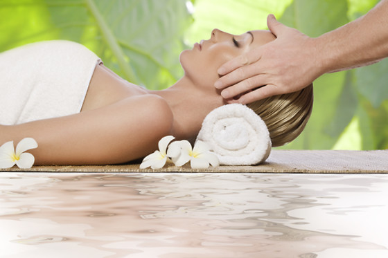 Ayurveda et Massages du Monde - photo 7